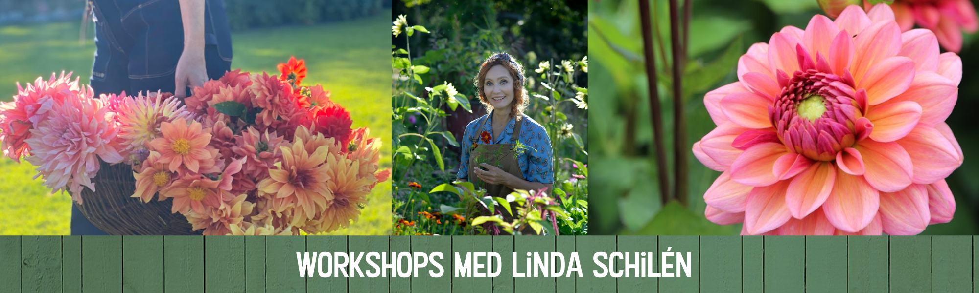 Workshops med Linda Schilén